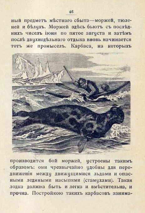 Примеры страниц