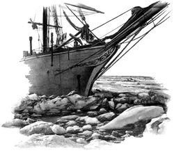 «Бельжика» в Карском море