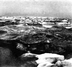 Поле черного льда в Карском море