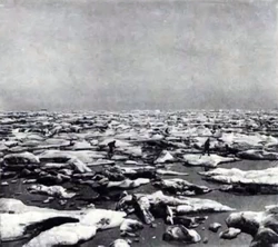 Льды Карского моря