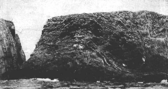 «Птичий базар» около Кармакул (вид с востока).