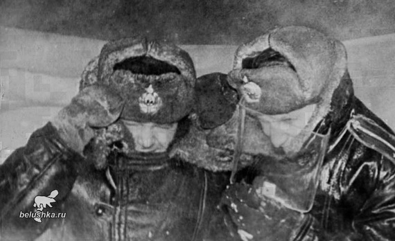 Новоземельский телевизор - помощник человека при сильной вьюге