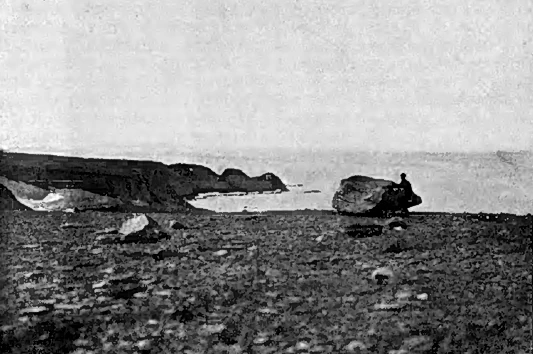 Панкратьев полуостров. Моренный ландшафт. Панкратьев полуостров. Моренный ландшафт.