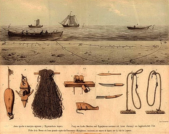 Лов трески и палтуса ярусами у Мурманского берега. 1863 г. Лов трески и палтуса ярусами у Мурманского берега