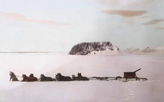 Собачья упряжка. У скалы Рубини, остров Гукера, Земля Франца-Иосифа, 1913–1914 годы