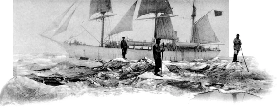 Баренцево море. Большое поле черного льда. Баренцево море. Большое поле черного льда.