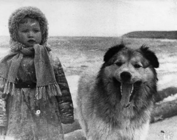Дочка Юля с лохматым другом на берегу Белого моря