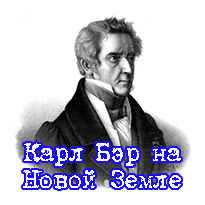 Карл Бэр на НЗ