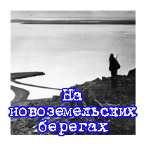 На новоземельских берегах