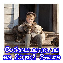 Собаководство на Новой Земле