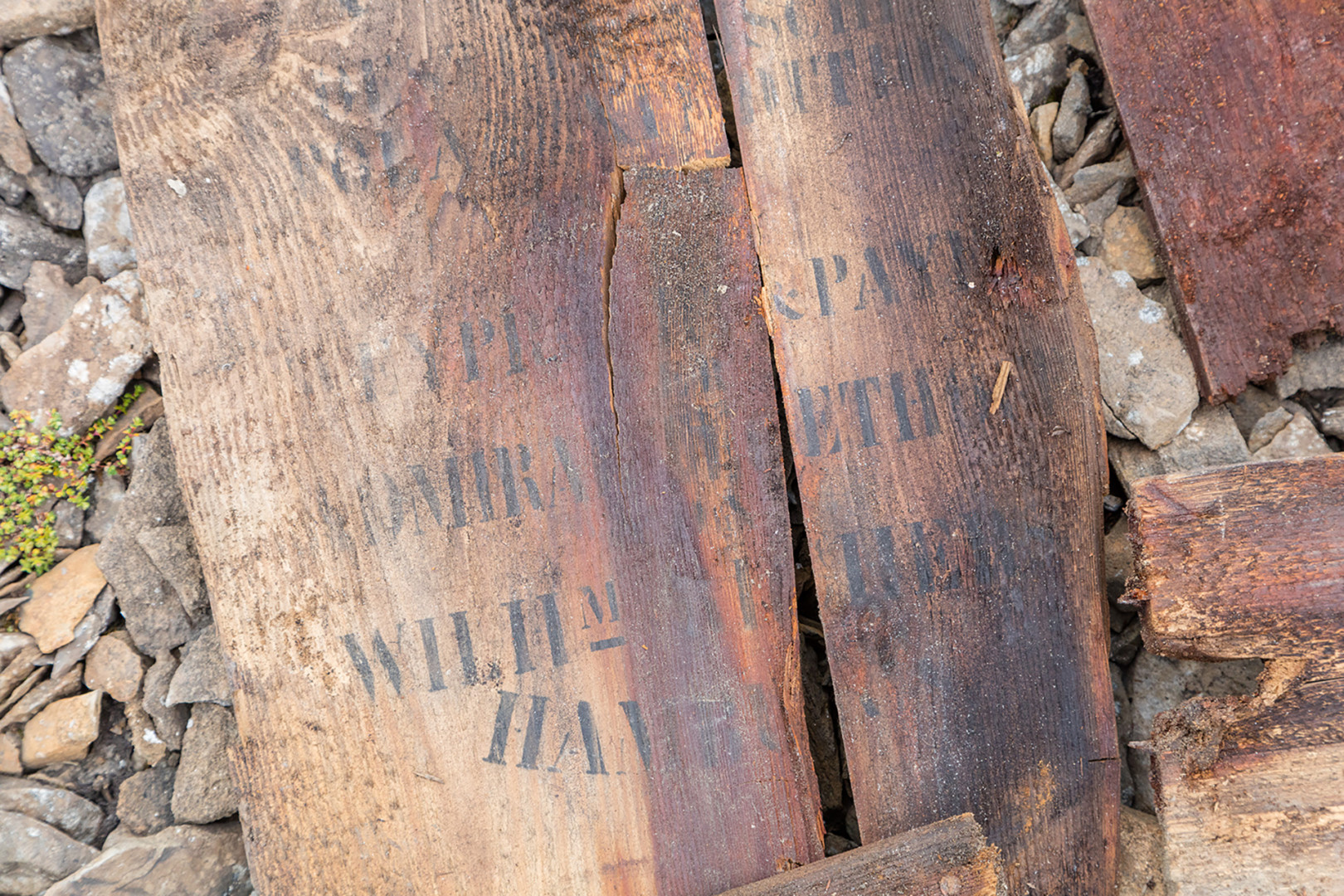 POLAR EXPEDITION, 1872, WHYPRECHT & PAYER.