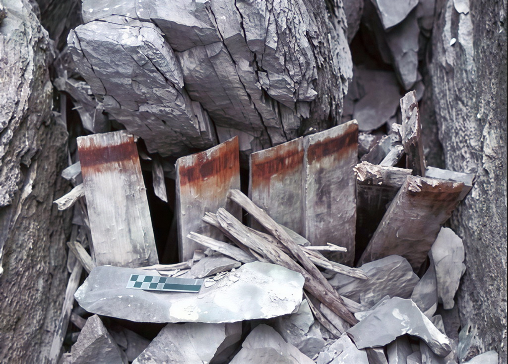 Доски от бочек со следами металлического обода из продовольственного депо австро-венгерской экспедиции