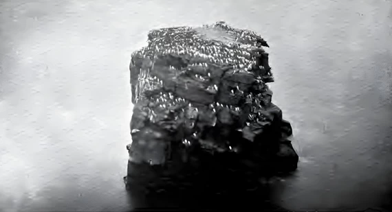 Птичий базар на скале у Междушарского острова