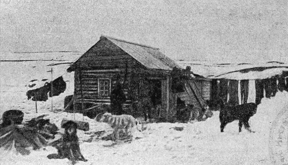 Промысловая избушка в губе Безымянной