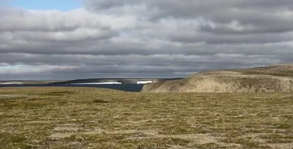 Северная часть полуострова Гусиная Земля Гусиная Земля