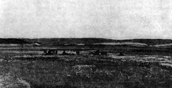 Аргиш оленей в долине р. Рогачевой. Фото А.И. Зубкова. Аргиш оленей в долине р. Рогачевой