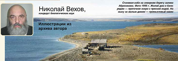 Охотничьи ресурсы и промысловое хозяйство Новой Земли