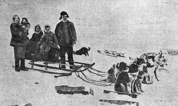 Новоземельская запряжка собак 1933 г.