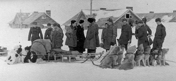 Собаки на аэродроме Рогачево