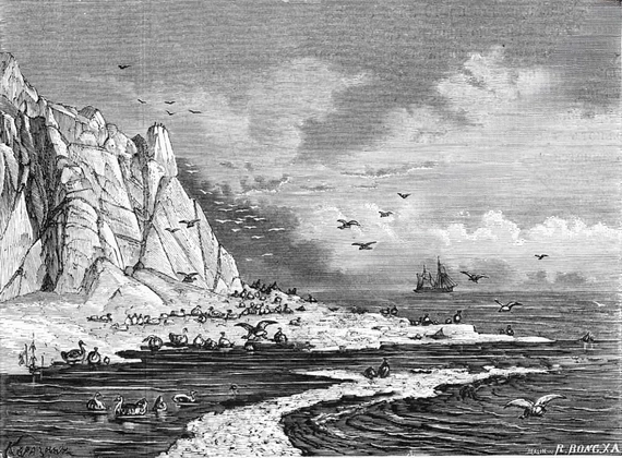 Видъ Колгуева.